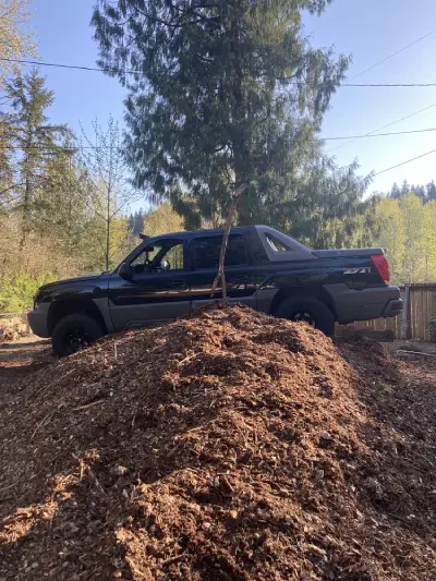 Professional Tree Company