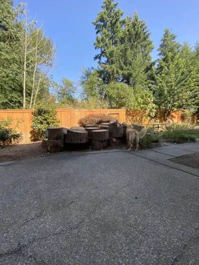 Reliable Tree Company