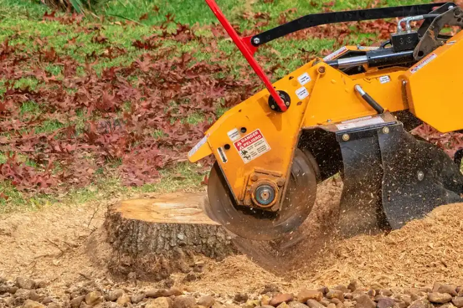 Affordable Stump Grinding Kent, WA Affordable Stump Grinding Kent, WA