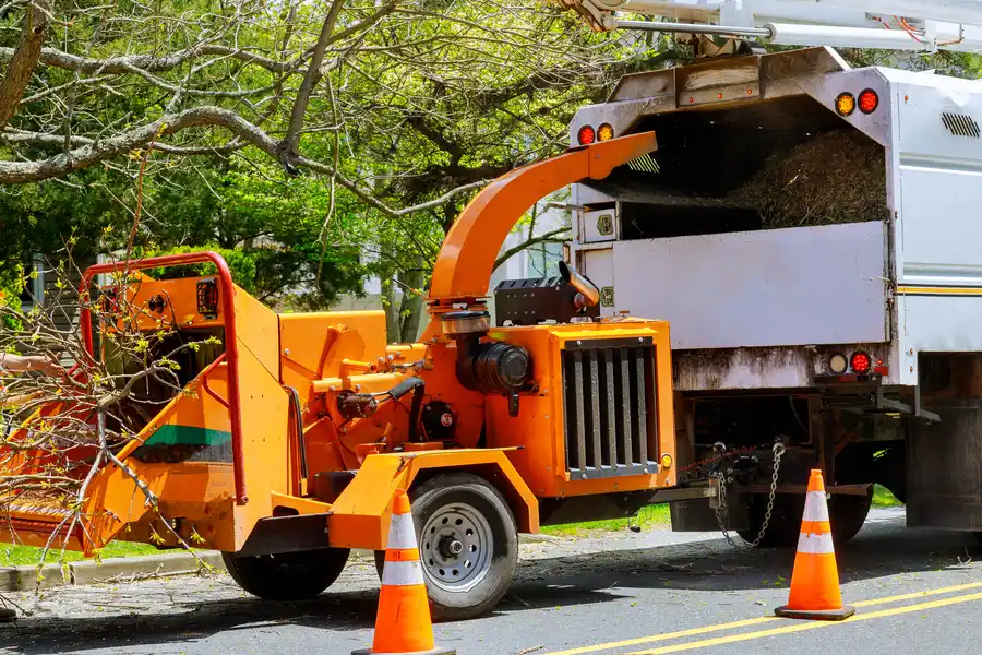 How Tree Removal Can Prevent Damage To Your Home Kent, WA How Tree Removal Can Prevent Damage To Your Home Kent, WA