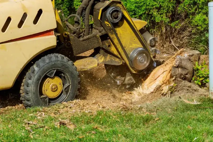The Environmental Impact Of Stump Grinding And Removal Kent, WA The Environmental Impact Of Stump Grinding And Removal Kent, WA