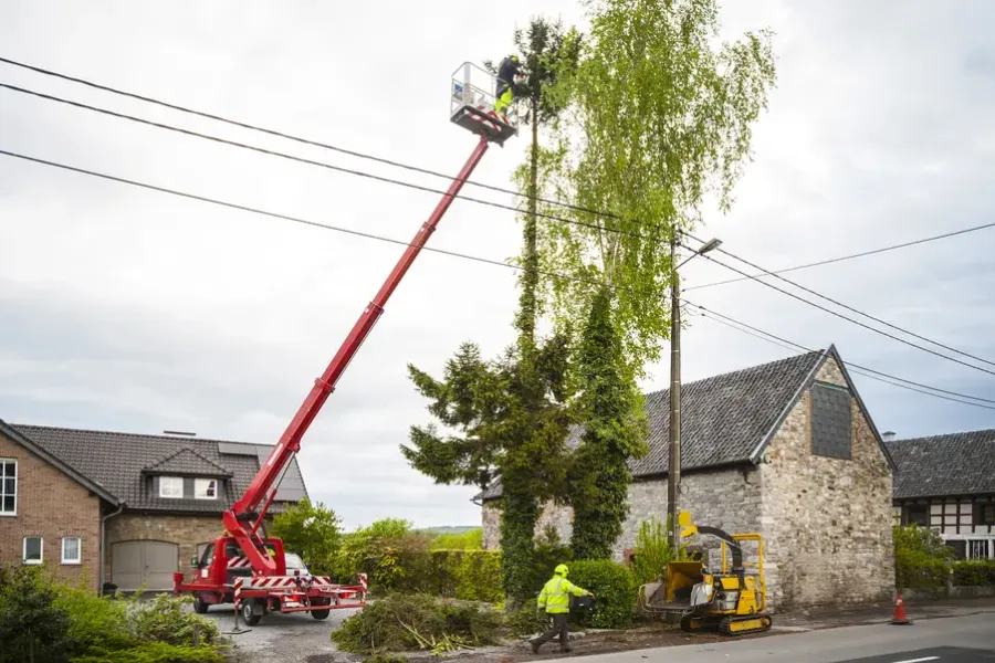 The Role Of Tree Trimming In Preventing Storm Damage in Kent, WA The Role Of Tree Trimming In Preventing Storm Damage in Kent, WA